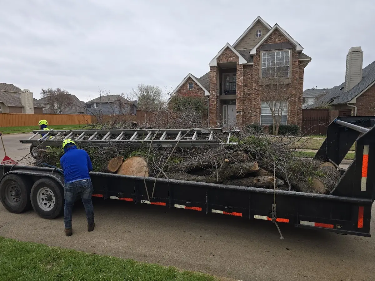 Expert Lot Clearing with proper safety equipment in Lanark